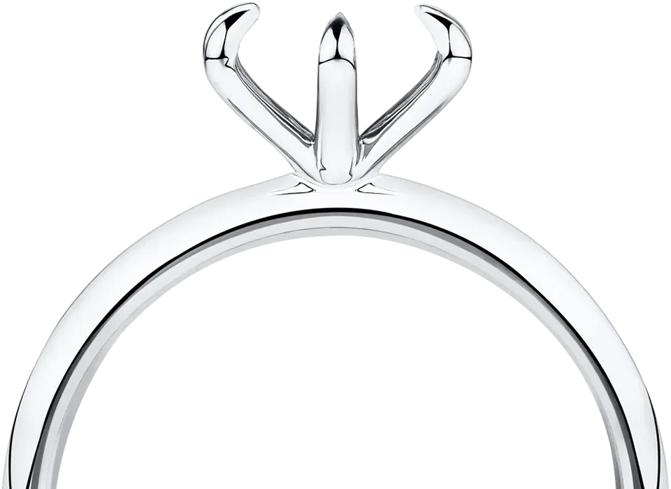 ring-setting_